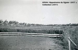 ORAN 1937 HYPPODROME DU FIGIER    (11)